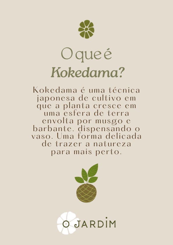 O que é a Kokedama
